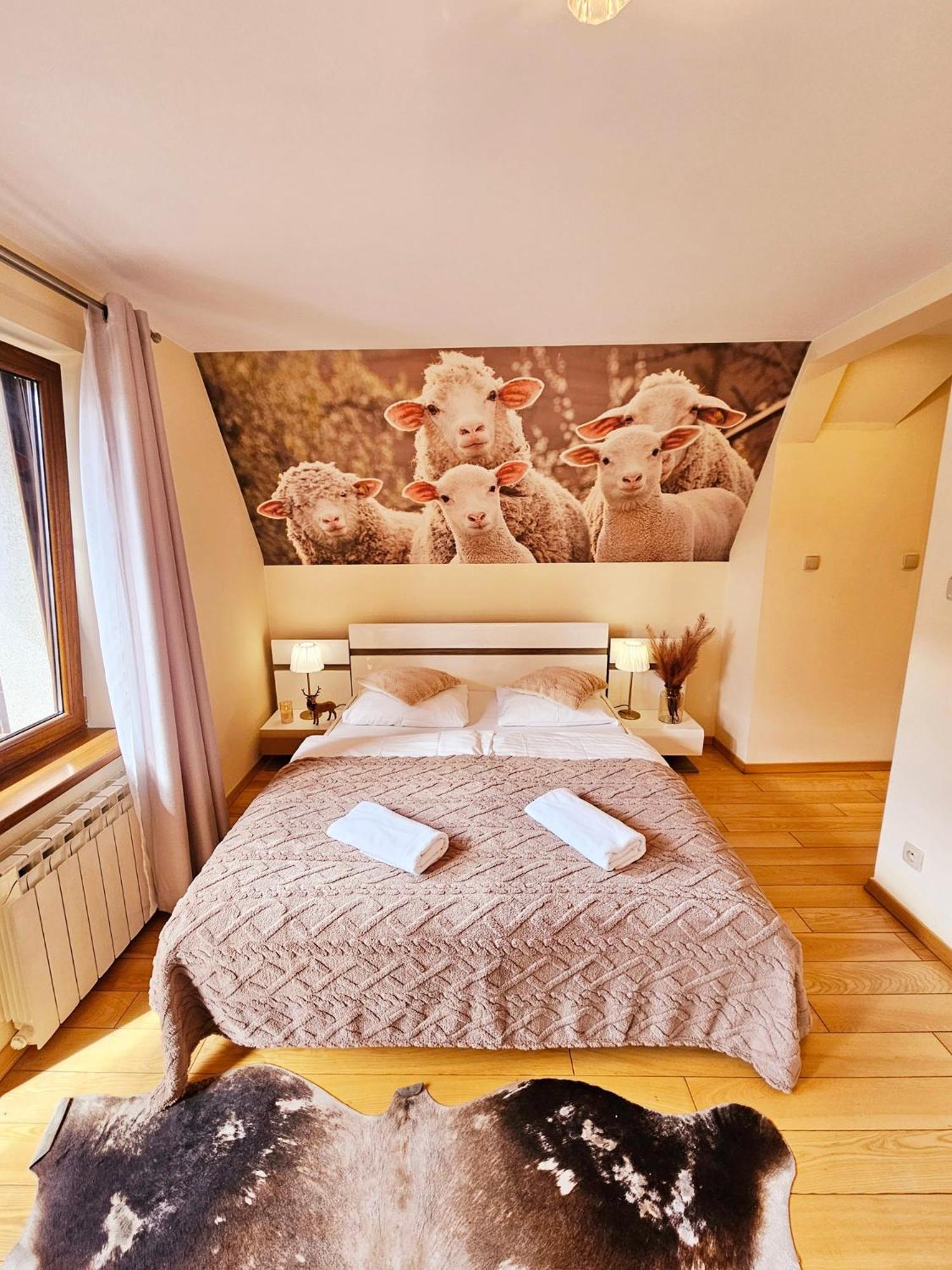 Willa Regina II Resort & Spa 자코파네 외부 사진